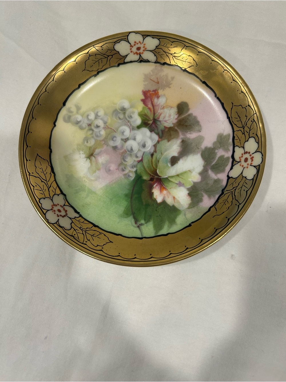 Antique Royal Austria O & EG Porcelain Hand-Painted Decorative Plate